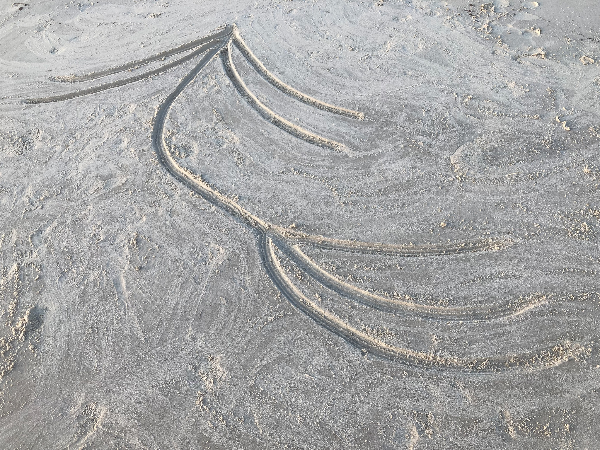 Dessin tracer dans le sable. La forme ressemble à une tige de fleur avec une feuille, ou à un personnage qui danse.