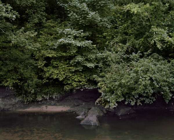 Lise Gaudaire, les faiseurs de paysage