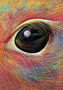 Gros plan sur un oeil artistique coloré