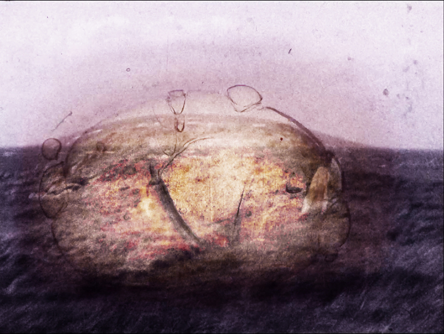 François Chemin, Cartographie du territoire/Pays des Abers, super 8, Cartographie du territoire,Île Tariec, Landéda, 2024
