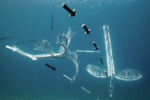 "Disoriented", Hortense Le Calvez & Mathieu Goussinet