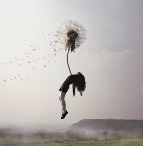 Maia Flore