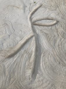 Dessin tracer dans le sable. La forme ressemble à une tige de fleur avec une feuille, ou à un personnage qui danse.