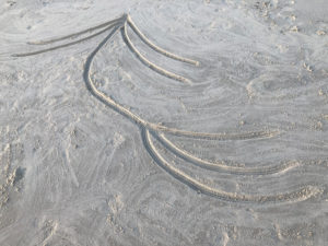 Dessin tracer dans le sable. La forme ressemble à une tige de fleur avec une feuille, ou à un personnage qui danse.