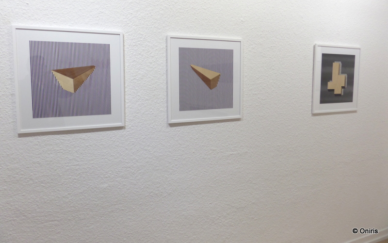 Galerie Oniris ●  expo Invitation #1 ● avec Olivier Petiteau ● Marine Provost ● Carole Rivalin0