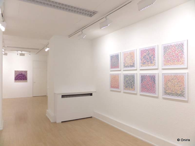 Galerie ONIRIS - Rennes - mars 2016 - Lignes ou Meule ? - Salle du mileu