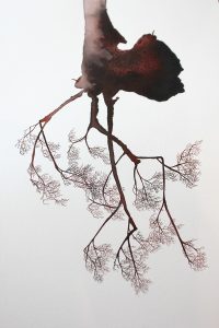 sylvain-le-corre-visuel-2