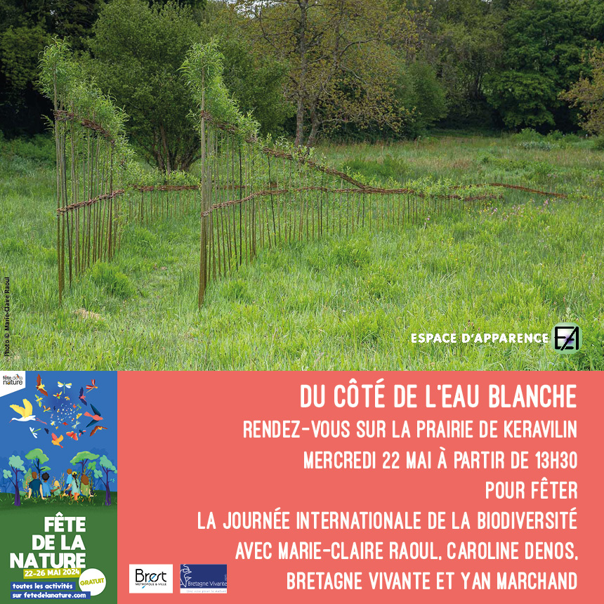 Rencontre Du côté de l'eau blanche sur la prairie de Keravilin à Guipavas, 22 mai 2024, organisée par Espace d'apparence